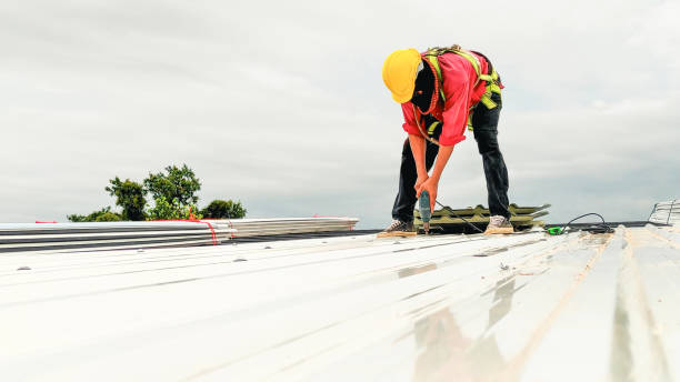 Best Roof Maintenance and Cleaning  in Panora, IA